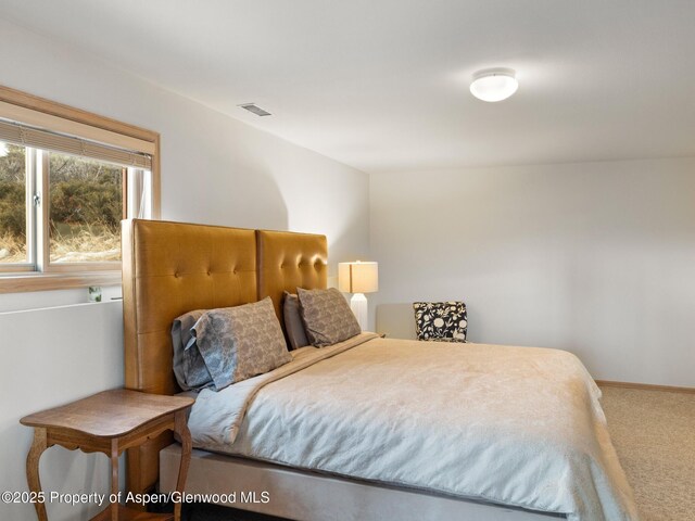 103 Prince Dr, Carbondale, CO 81623 - photo 19