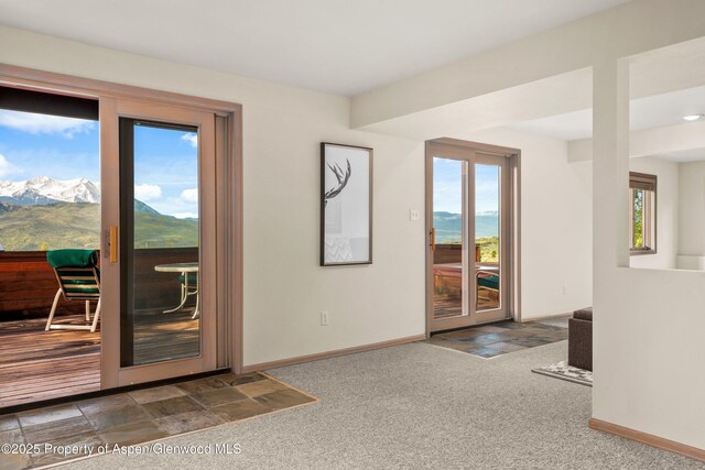 103 Prince Dr, Carbondale, CO 81623 - photo 28