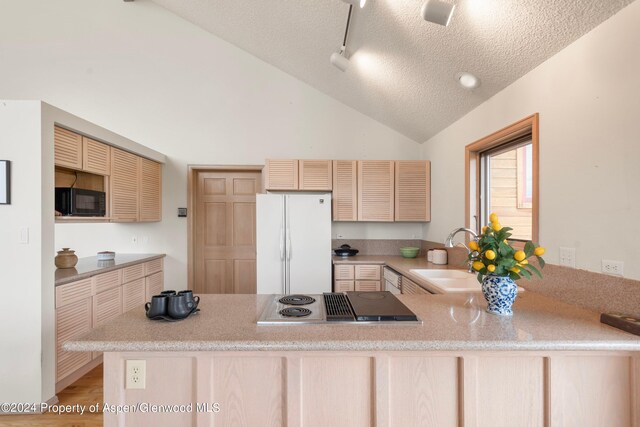 103 Prince Dr, Carbondale, CO 81623 - photo 11