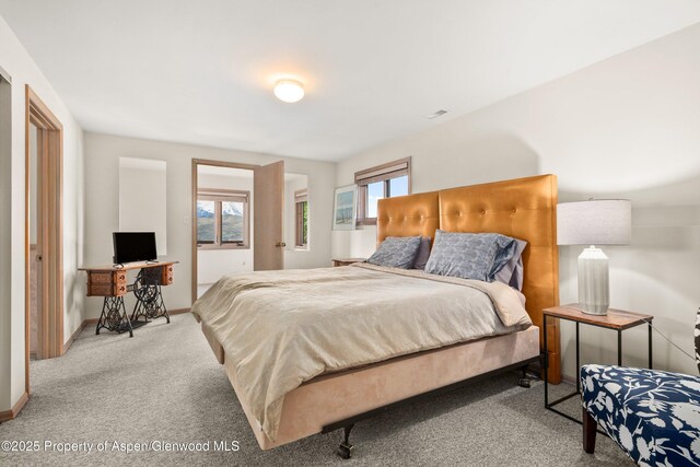 103 Prince Dr, Carbondale, CO 81623 - photo 21