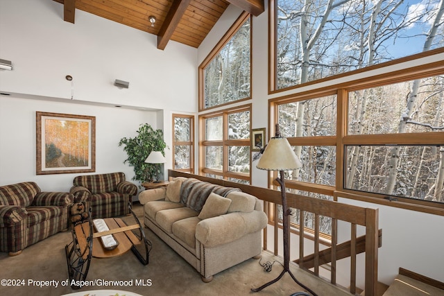 carpeted living room featuring beamed ceiling, high vaulted ceiling, and wooden ceiling