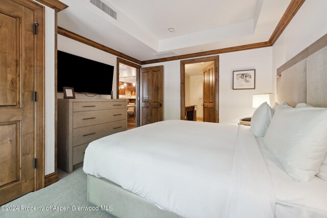 bedroom with a raised ceiling