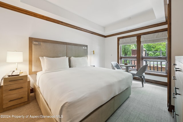 bedroom with light carpet and a raised ceiling