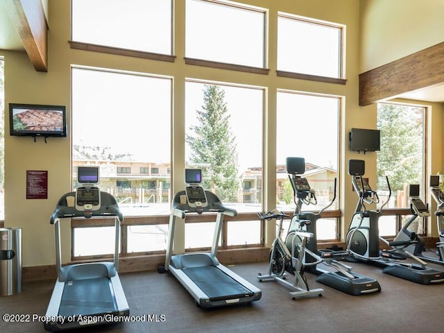 workout area with plenty of natural light