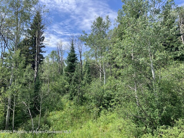 LOT16B Mountain Springs Rd, Glenwood Springs, CO 81601