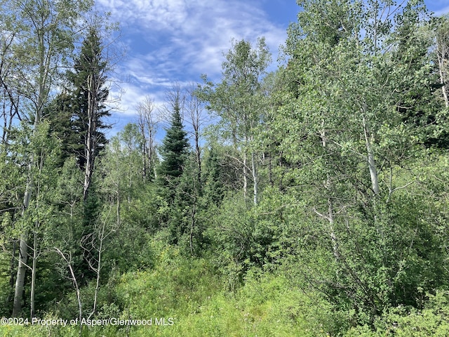 LOT16B Mountain Springs Rd, Glenwood Springs, CO 81601 - photo 16