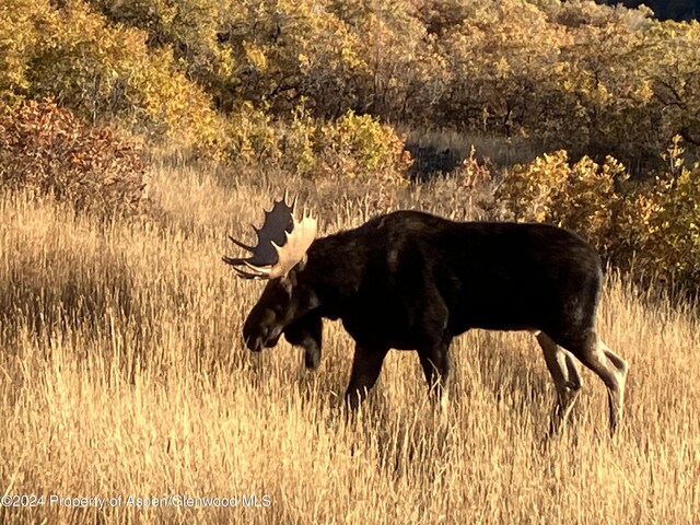 LOT16B Mountain Springs Rd, Glenwood Springs, CO 81601