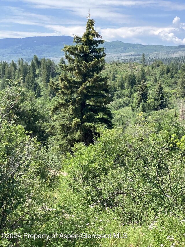 LOT16B Mountain Springs Rd, Glenwood Springs, CO 81601