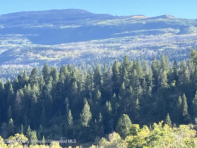 LOT16B Mountain Springs Rd, Glenwood Springs, CO 81601