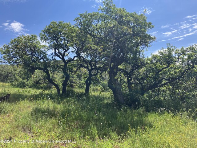 LOT16B Mountain Springs Rd, Glenwood Springs, CO 81601