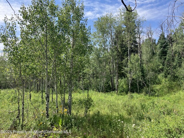 LOT16B Mountain Springs Rd, Glenwood Springs, CO 81601