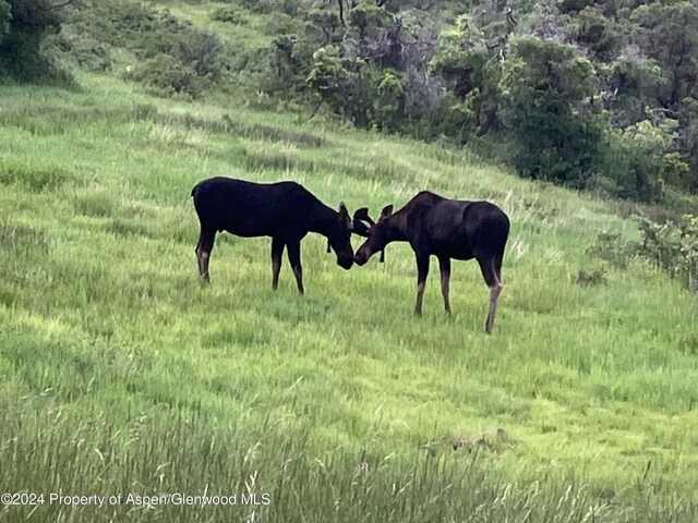 LOT16B Mountain Springs Rd, Glenwood Springs, CO 81601