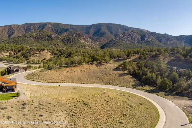 491 Deer Valley Dr, New Castle, CO 81647 - photo 4