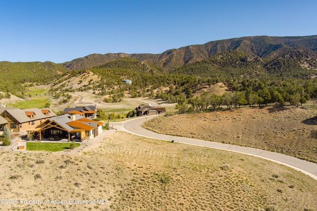 491 Deer Valley Dr, New Castle, CO 81647 - photo 5