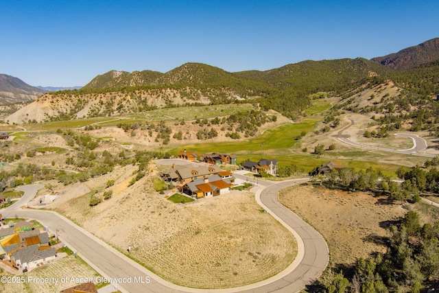 491 Deer Valley Dr, New Castle, CO 81647 - photo 3