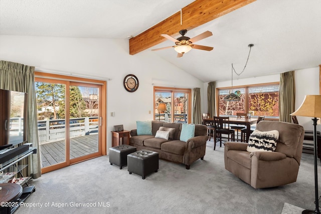 534 Spruce St, Aspen, CO 81611 - living area with carpet floors, lofted ceiling with beams, and a wealth of natural light