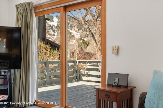 534 Spruce St, Aspen, CO 81611 - view of entryway