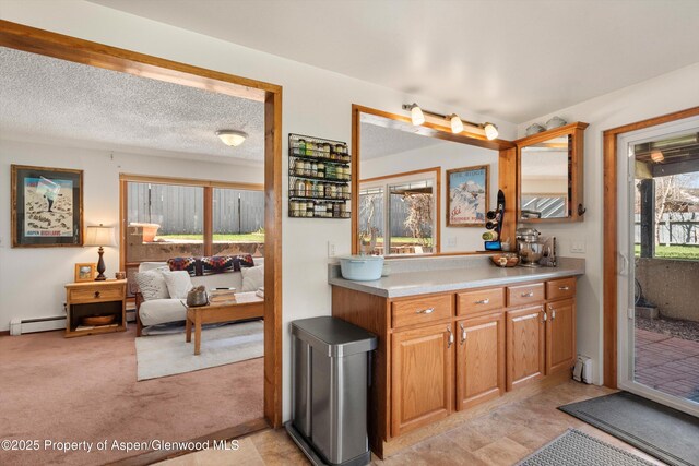 534 Spruce St, Aspen, CO 81611 - ensuite bathroom featuring vanity, ensuite bathroom, and a baseboard radiator