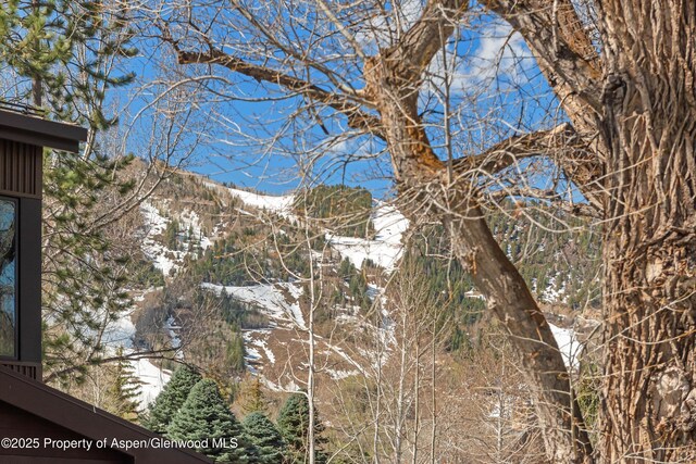 534 Spruce St, Aspen, CO 81611 - exterior space with a mountain view