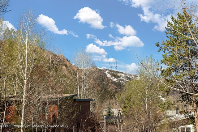 534 Spruce St, Aspen, CO 81611 - view of mountain feature