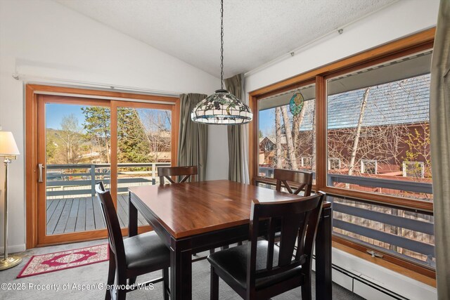 534 Spruce St, Aspen, CO 81611 - carpeted dining area with baseboards, baseboard heating, and vaulted ceiling