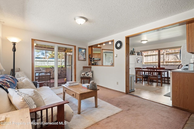 534 Spruce St, Aspen, CO 81611 - living area featuring carpet and a textured ceiling