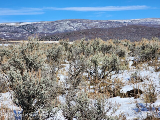 82 Saddle Dr, Carbondale, CO 81623 - photo 8