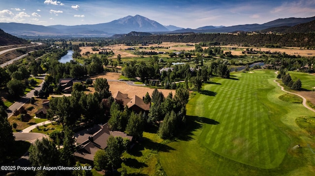 36 Alpen Glo Ln, Carbondale, CO 81623 - photo 6