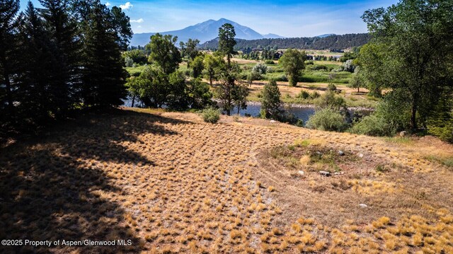 36 Alpen Glo Ln, Carbondale, CO 81623 - photo 10