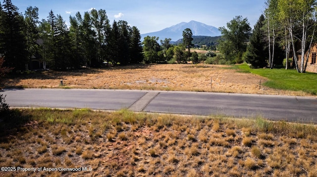 36 Alpen Glo Ln, Carbondale, CO 81623 - photo 12