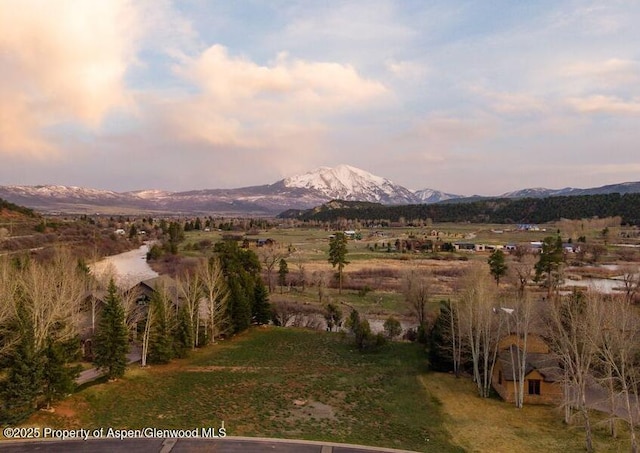 36 Alpen Glo Ln, Carbondale, CO 81623 - photo 13