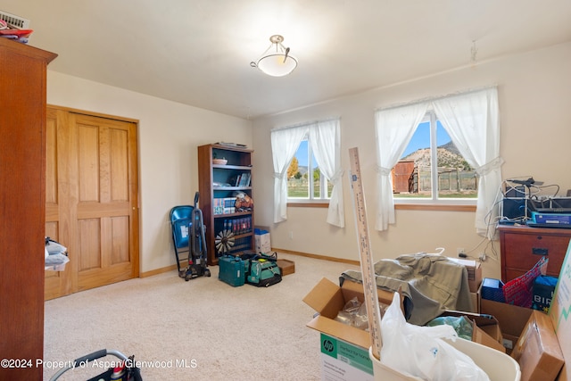 48 County Road 260, Silt, CO 81652 - photo 33