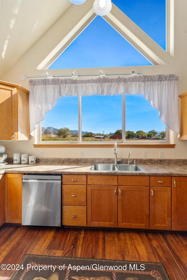 kitchen featuring dark hardwood / wood-style floors, sink, stainless steel dishwasher, and vaulted ceiling