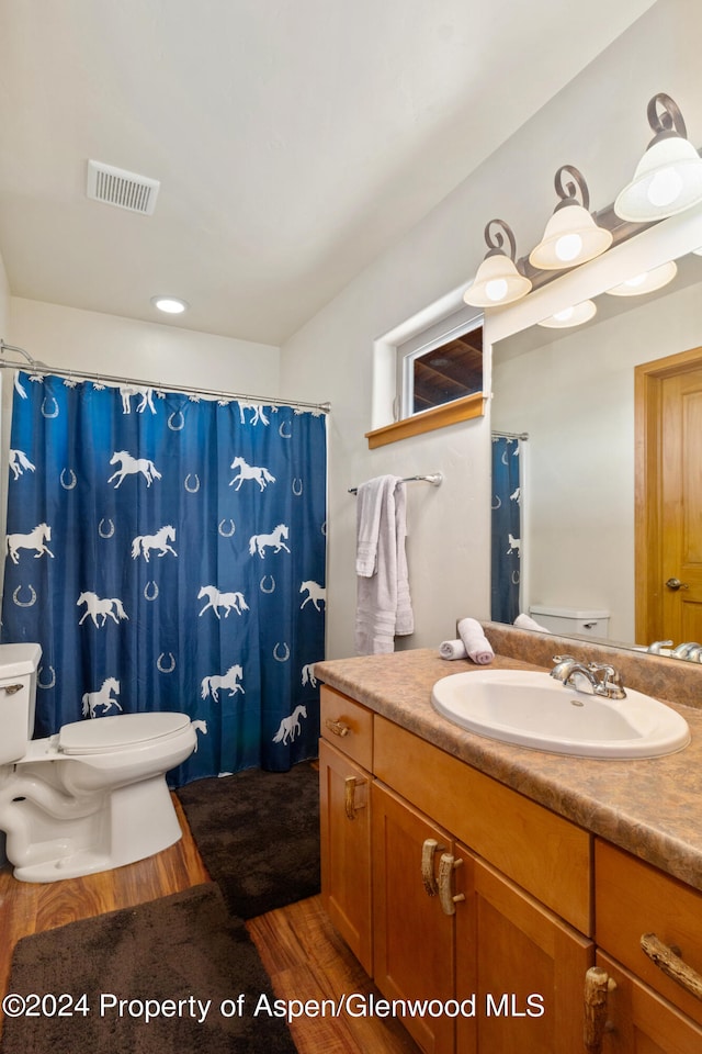 bathroom with vanity, wood-type flooring, and toilet