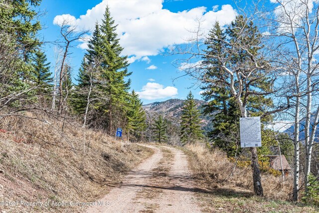 TBD Elk Mountain Dr, Redstone, CO 81623