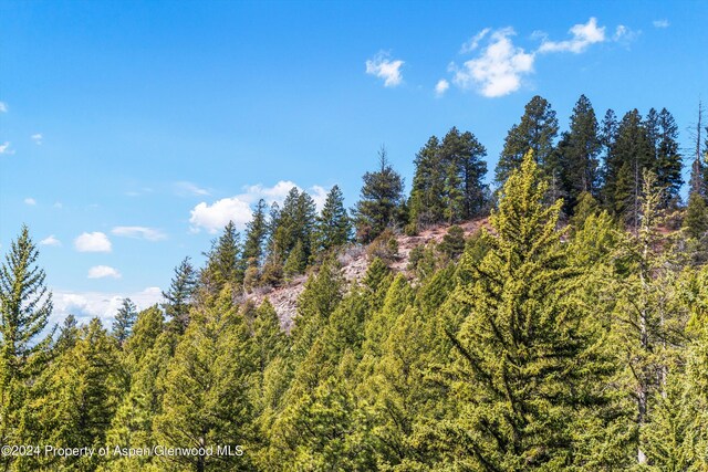 TBD Elk Mountain Dr, Redstone, CO 81623
