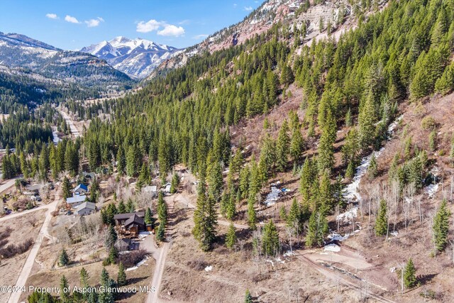 TBD Elk Mountain Dr, Redstone, CO 81623