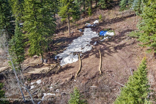 TBD Elk Mountain Dr, Redstone, CO 81623