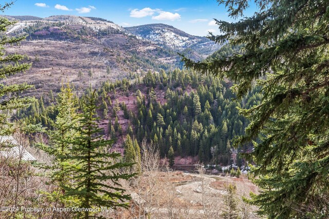 TBD Elk Mountain Dr, Redstone, CO 81623