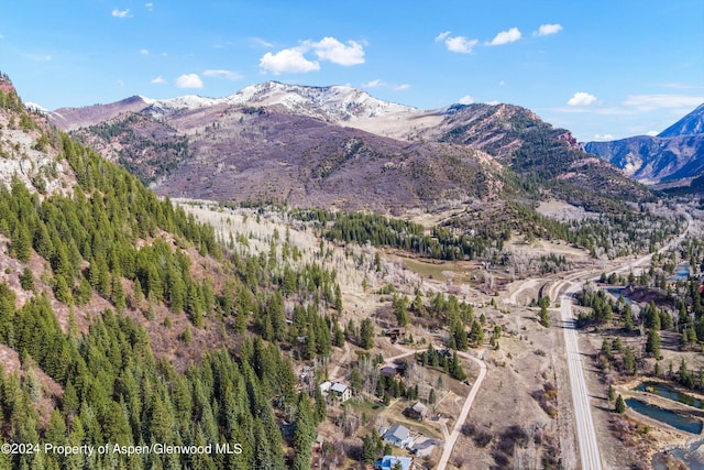 TBD Elk Mountain Dr, Redstone, CO 81623