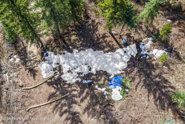 TBD Elk Mountain Dr, Redstone, CO 81623