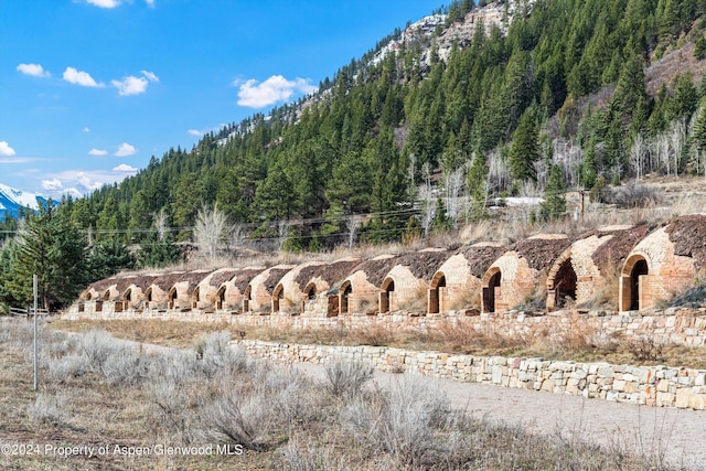 TBD Elk Mountain Dr, Redstone, CO 81623