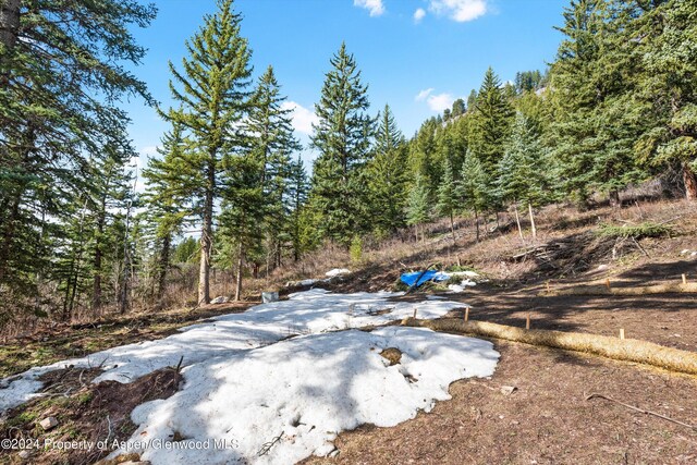 TBD Elk Mountain Dr, Redstone, CO 81623