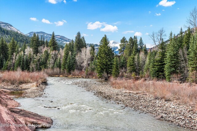 TBD Elk Mountain Dr, Redstone, CO 81623