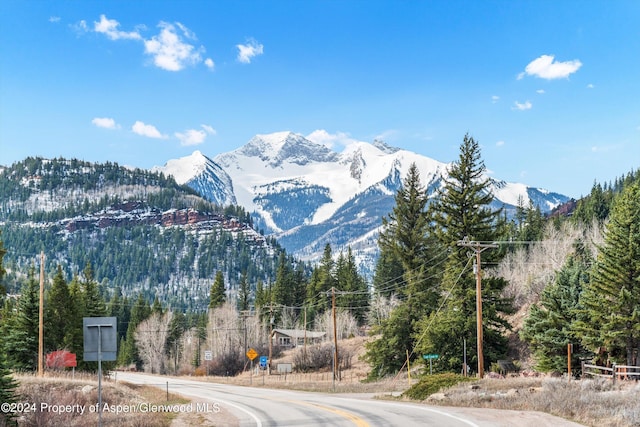 TBD Elk Mountain Dr, Redstone, CO 81623