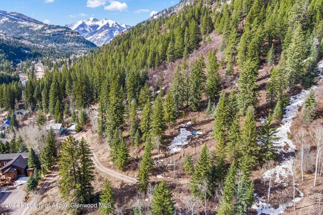 TBD Elk Mountain Dr, Redstone, CO 81623
