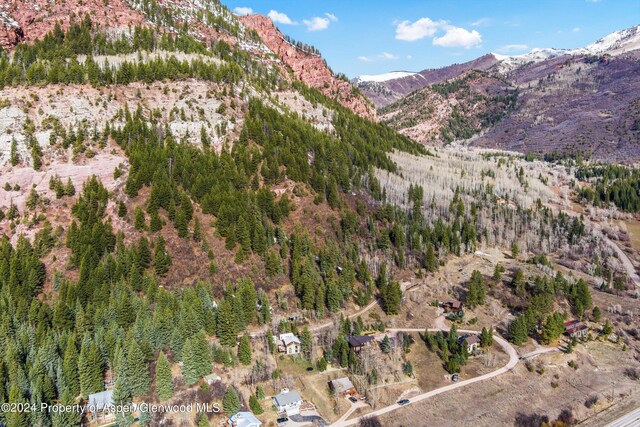 TBD Elk Mountain Dr, Redstone, CO 81623