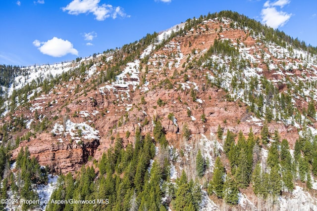 TBD Elk Mountain Dr, Redstone, CO 81623