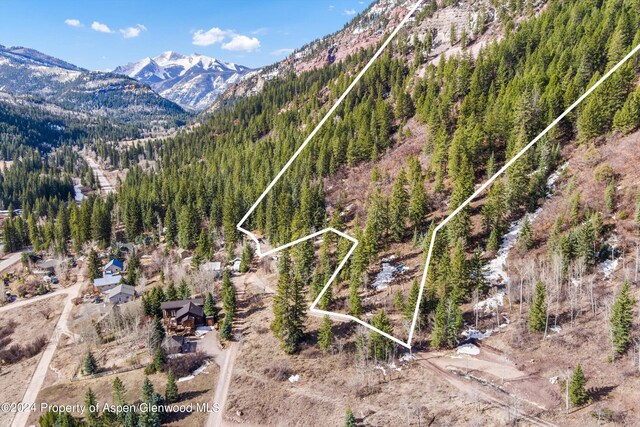 TBD Elk Mountain Dr, Redstone, CO 81623