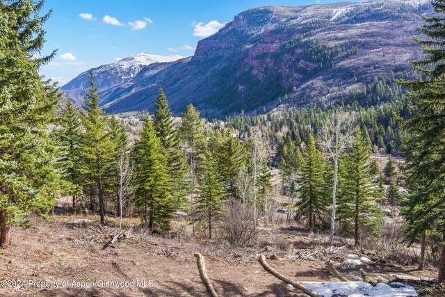 TBD Elk Mountain Dr, Redstone, CO 81623
